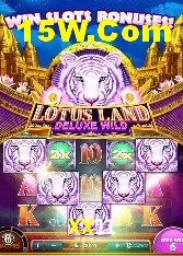 Welcome Bonus XX11